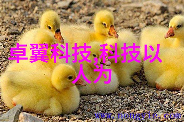 排水管价格流浪的金钱淤塞的心