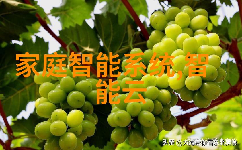 住宅室内装饰装修管理新规解读如何让居住环境更加舒适健康
