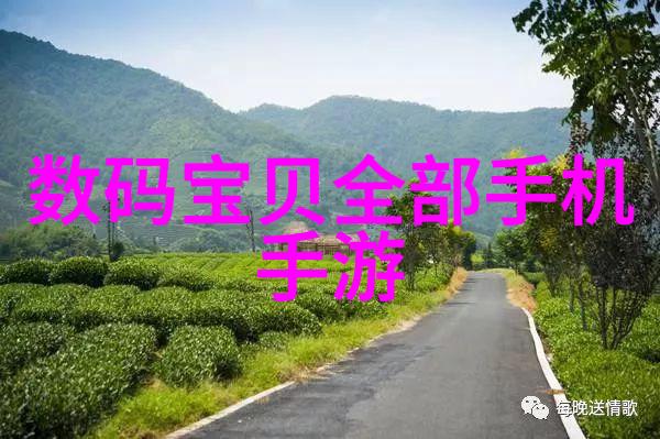 新疆美学乌鲁木齐家居装修风格探索