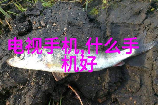 纯净水设备维修指南确保清澈源自专业手段