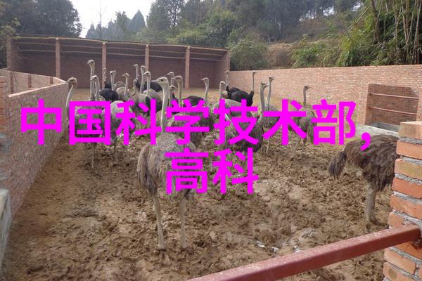 实验室设备管理高效的试验伙伴