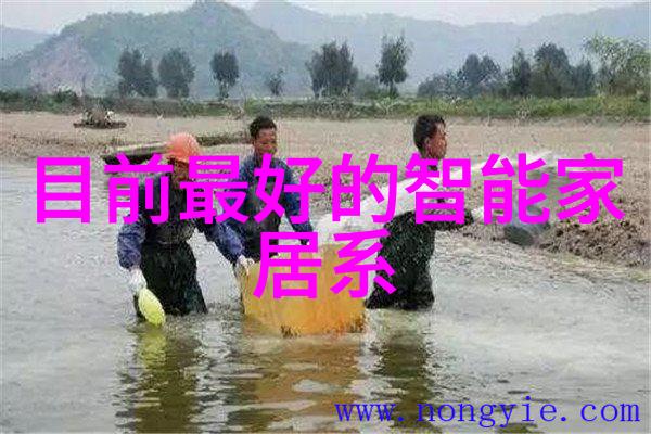 精选住小帮室内装修图片大全创意灵感满满的家居美学
