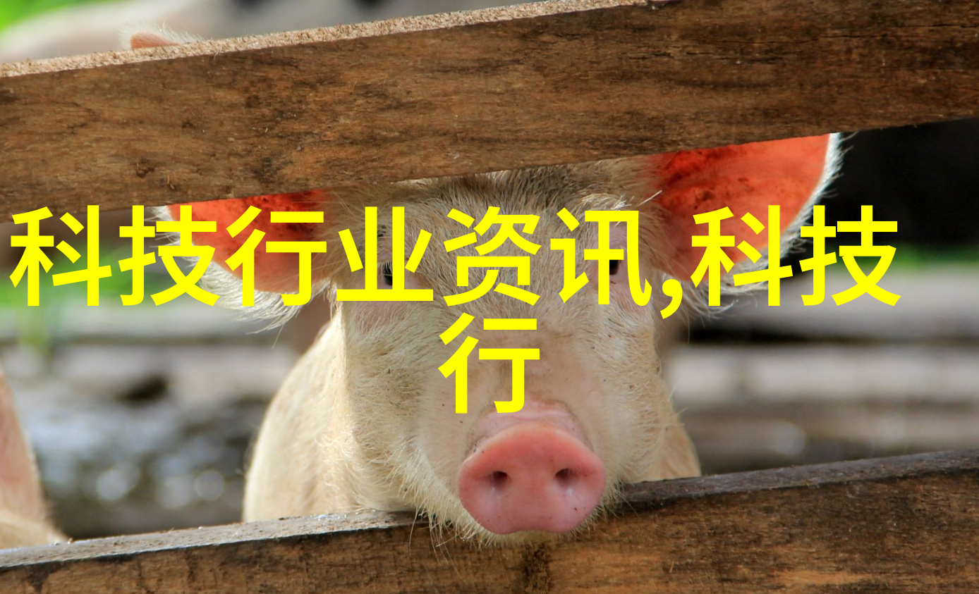 全球最先进智能机器人的未来形态与应用前景