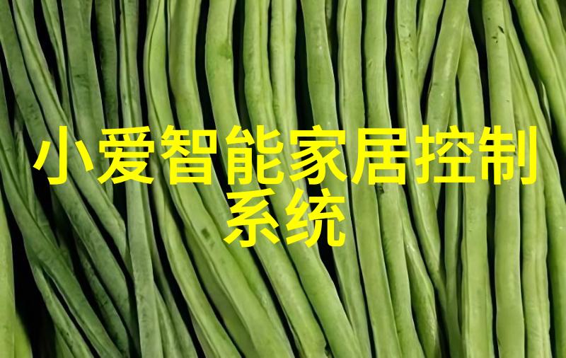 中国资源卫星应用中心招聘中的关键技术与应用