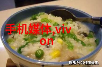 芯片的制作流程及原理 - 从硅晶体到微电子设备揭秘芯片生产的奥秘