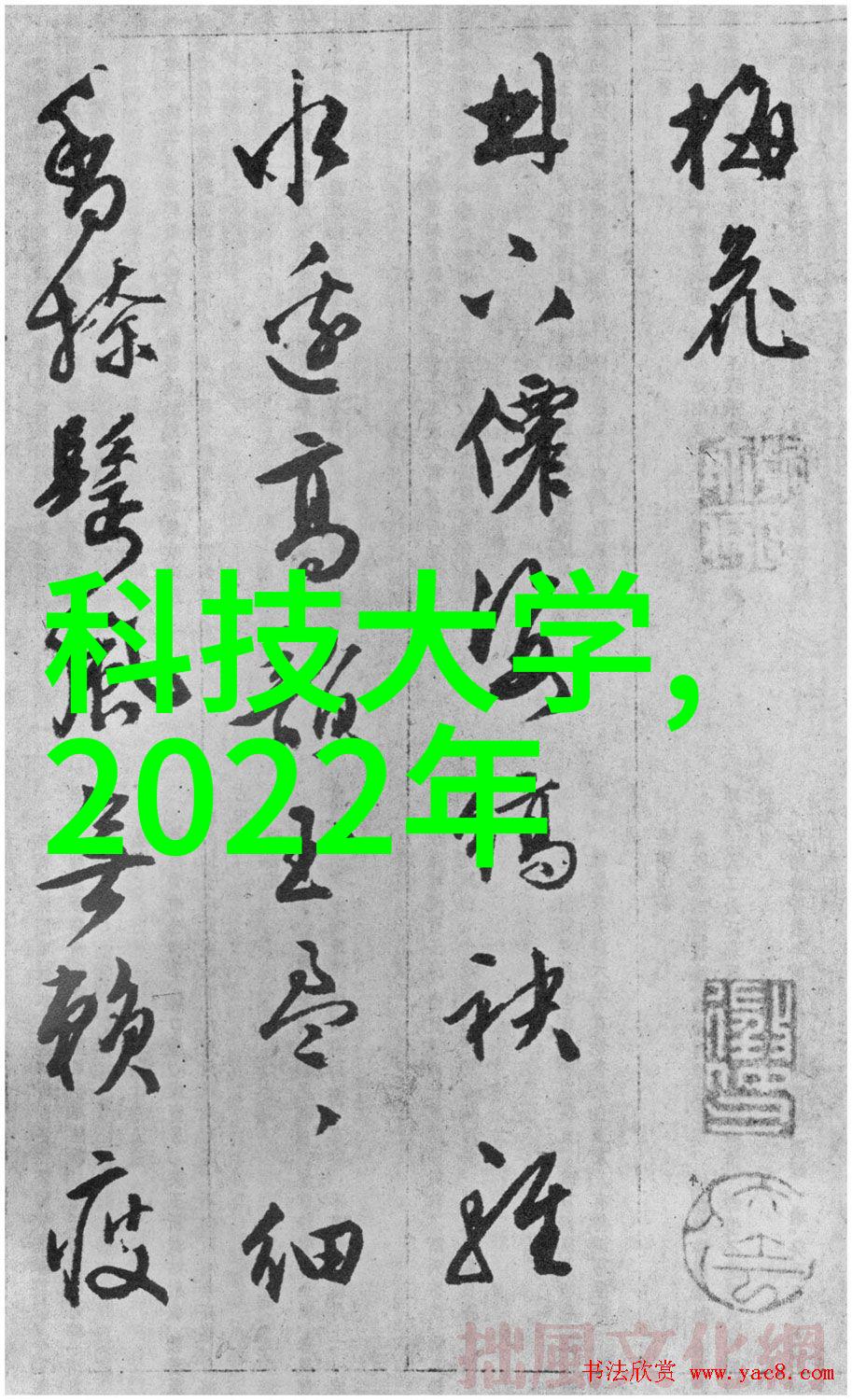 开启全民科技创作时代国产智能手机设计迎来创新高潮