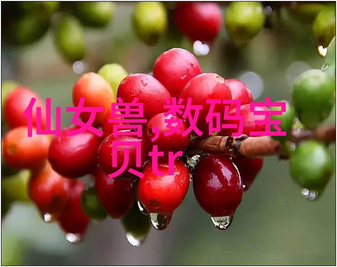 如何理解离心设备的形式与功能之间的奥秘