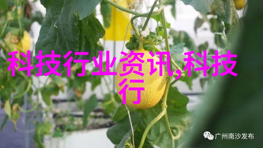 写报告怎么写老实说我也有点儿手足无措