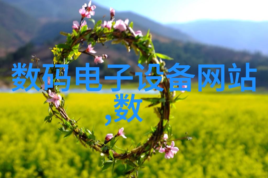 揭秘填料世界从食谱到材料探索它的多面性