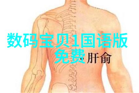 燃气蒸汽发生器云端的精灵工厂