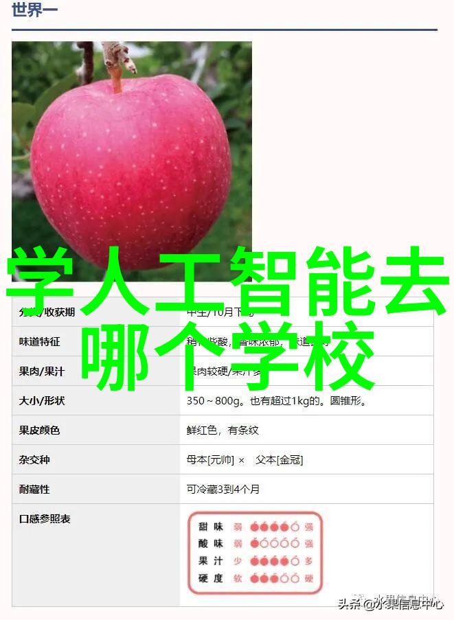 装修设计图-精致居家从平面图到3D视觉的装修设计图解析