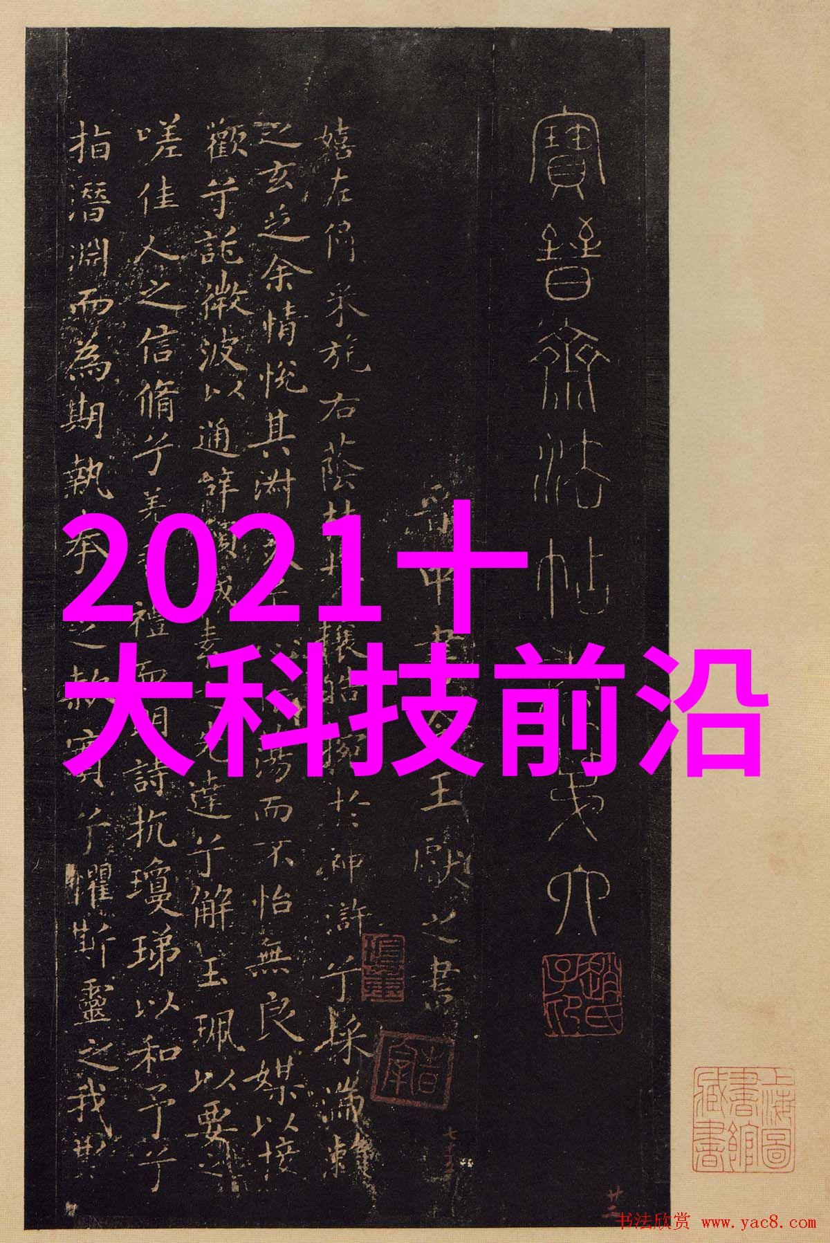 冷冻干燥机设计与制造流程概述