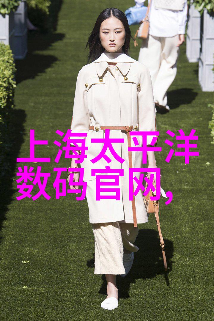 半导体领域的领军者芯片股龙头企业简析
