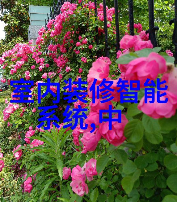 妈妈的逆袭从坚决否定到温柔迎合的故事