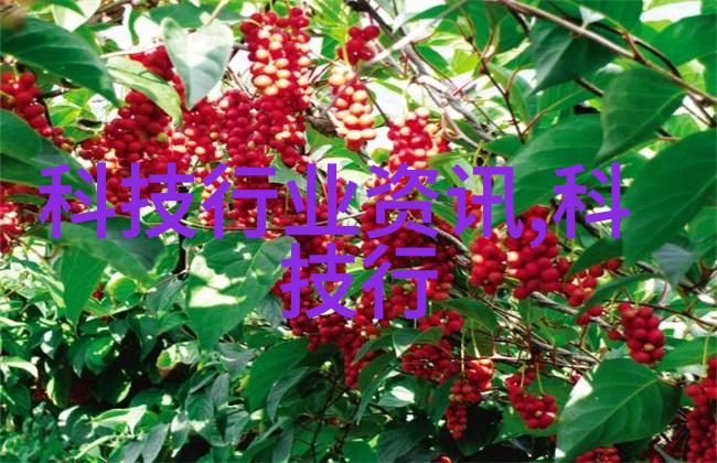 全自动立式高压灭菌锅我是如何用它来变革厨房工作的