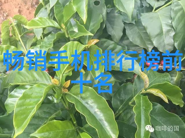 校园大尺寸的小黄说说1000字我是小黄你问我啥