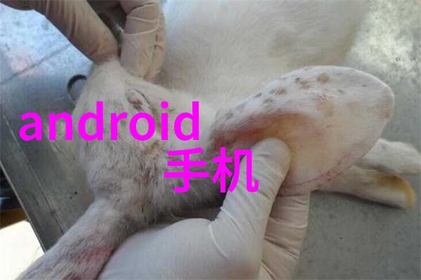 台式蒸汽灭菌器我来教你如何用它搞定家里的卫生干净整洁