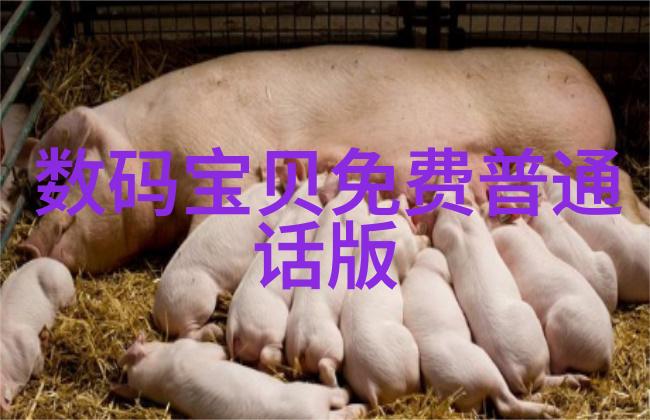 塑料再生之旅创新的造粒机征程