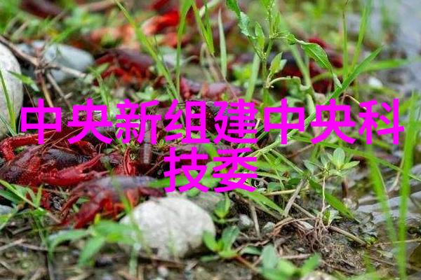 密封之谜化工包装检测设备的秘密守护者