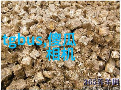 蒸汽之源电热的温柔力量