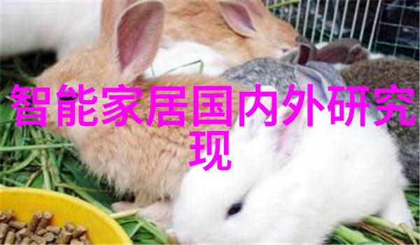 北京装修设计公司创意空间品质生活