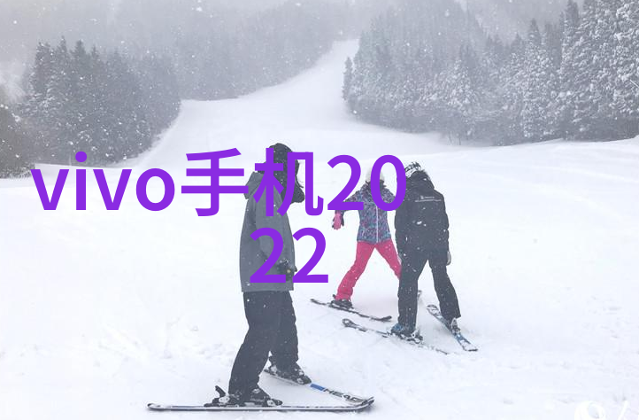 吊篮租赁服务安全高效的建筑物运输解决方案