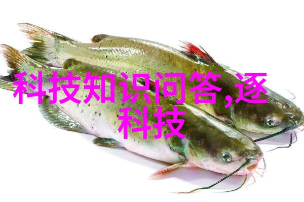 水之谜检测的代价