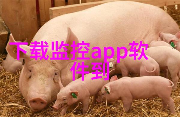 果冻传媒免费观看享受高质量视频内容的便捷方式