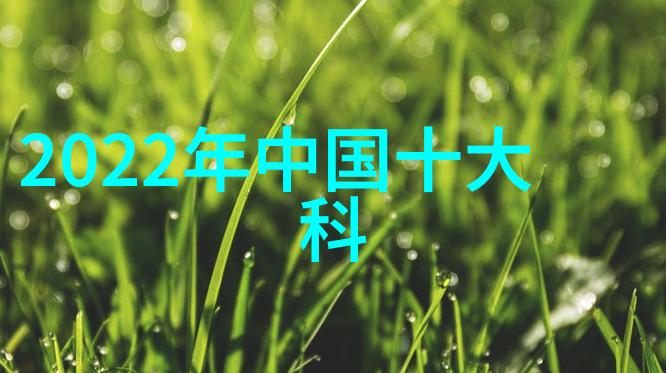 黑紫色肉棍的暗杀