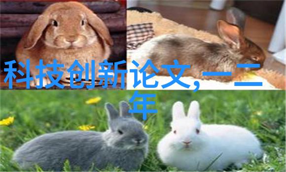 农村自来水过滤设备清洁源自自然的生态之选