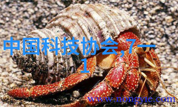 传统蒸发式压缩机与螺旋涡管压缩机各自优势在哪里