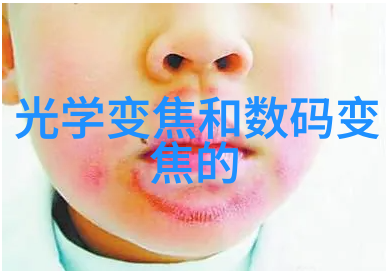 创意点滴如何在有限空间中营造modern cozy氛围