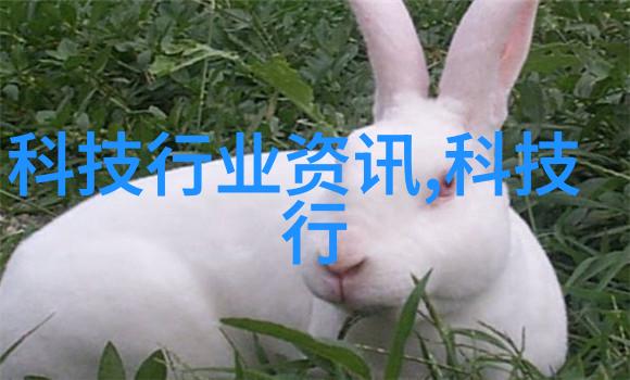 水墨天地降膜蒸发器的奇妙之谜
