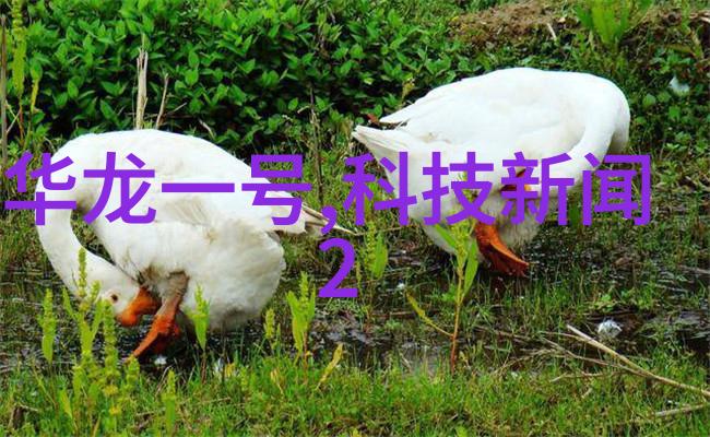 机智的带子干燥之舞
