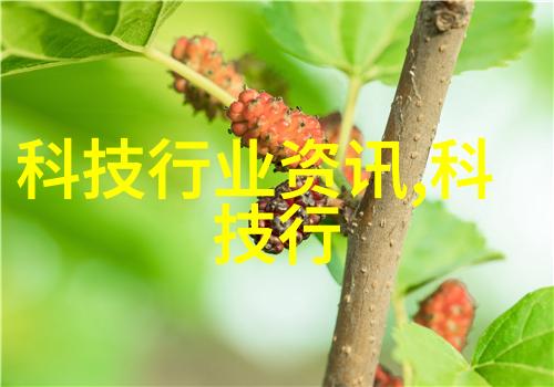 三国演义小说txt-风起云涌三国演义中的英雄与策略