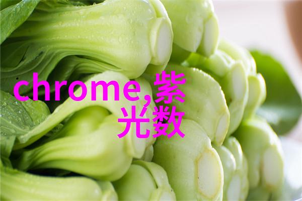 反应室的秘密探索加氢反应釜内部结构之谜