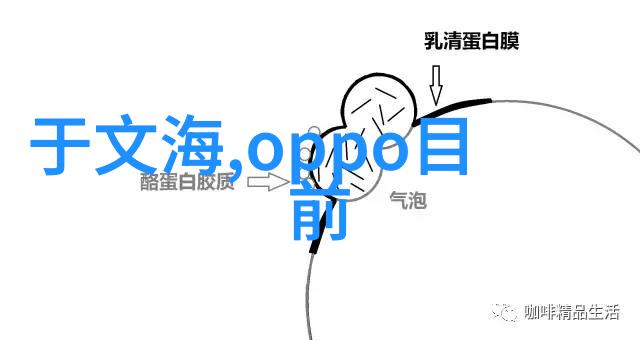 清新呼吸的梦想揭秘高效氰化物废气净化术