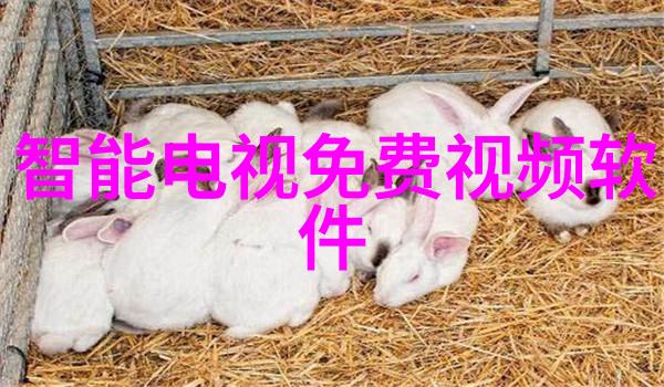 在镜子面前看我是怎么爱你的情感深度探索爱意绽放