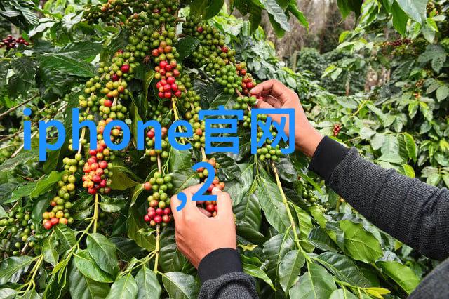 小型医院污水处理一体机简便易用但是否影响治疗质量