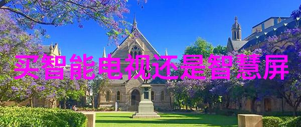 家用清洁-小型吸泥机家庭生活中的舒适助手