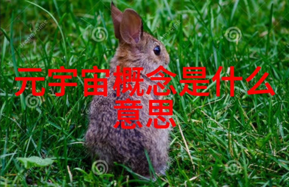 塑料填料厂家-塑料填料行业发展趋势与市场需求分析