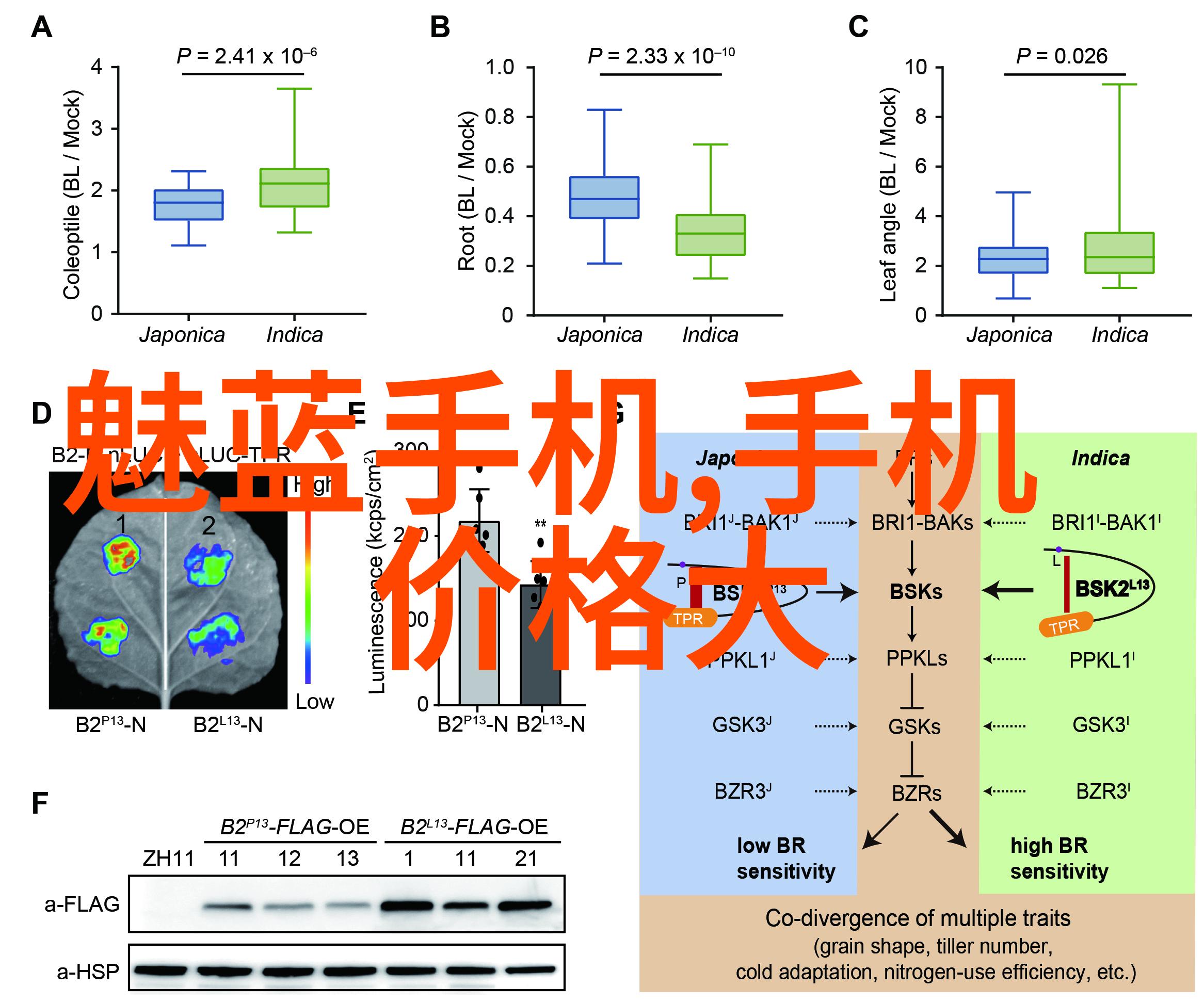 北京市水质检测机构清澈之翼守护蓝色天空