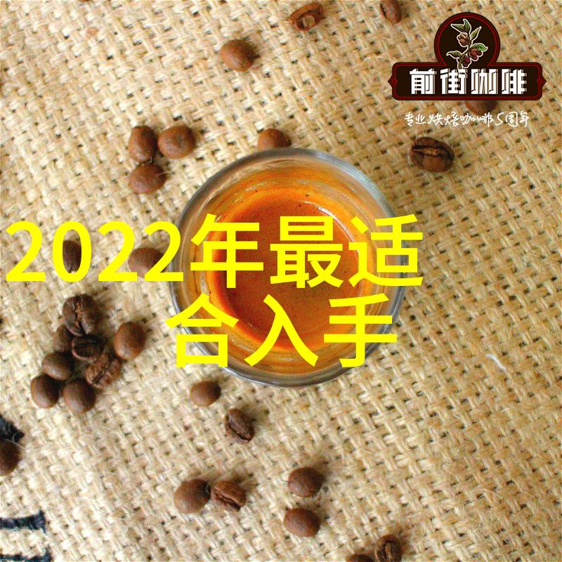 塔形结构的秘密揭开填料塔的神秘面纱