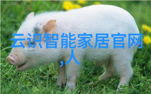 装修流程图从规划到完工哪些环节容易被忽视