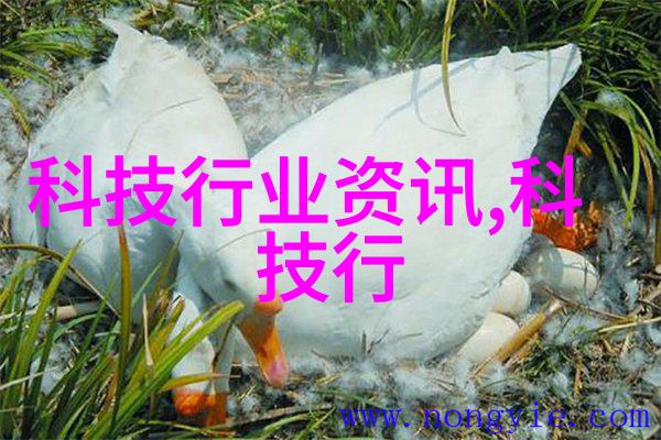 我的银行家先生帮我理顺这笔财务纠缠吧