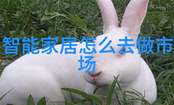 卓宝防水守护每一寸家园的安全与安宁