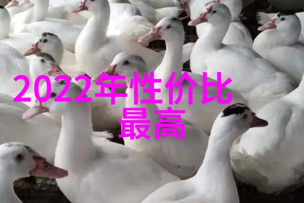 信用家-构建信用的家园家庭财务管理的智慧与实践