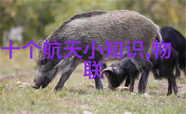 不锈钢的种类与应用广泛概述