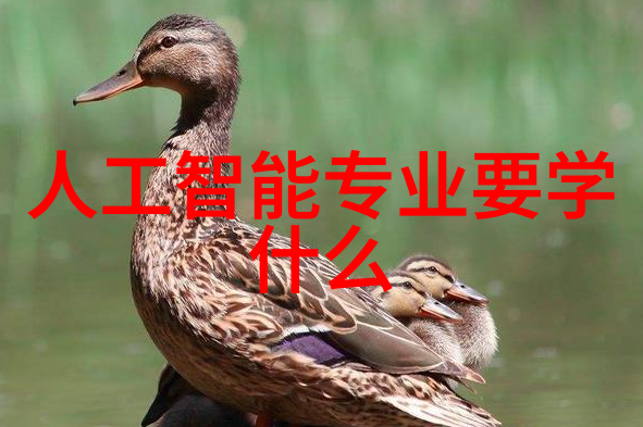 重来一次月下蝶影再次在那片梦回的月光下与你相遇的那些不经意间扑腾的蝴蝶
