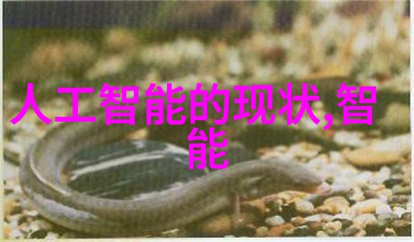 装修厨房我是如何一步步把我的厨房打造得像星级酒店一样的